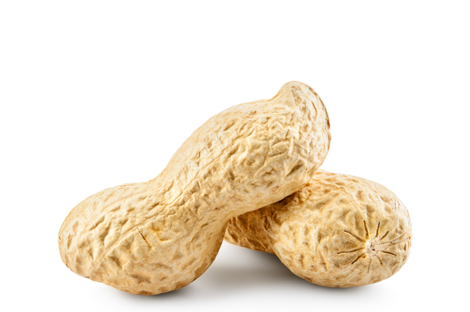 allergenen